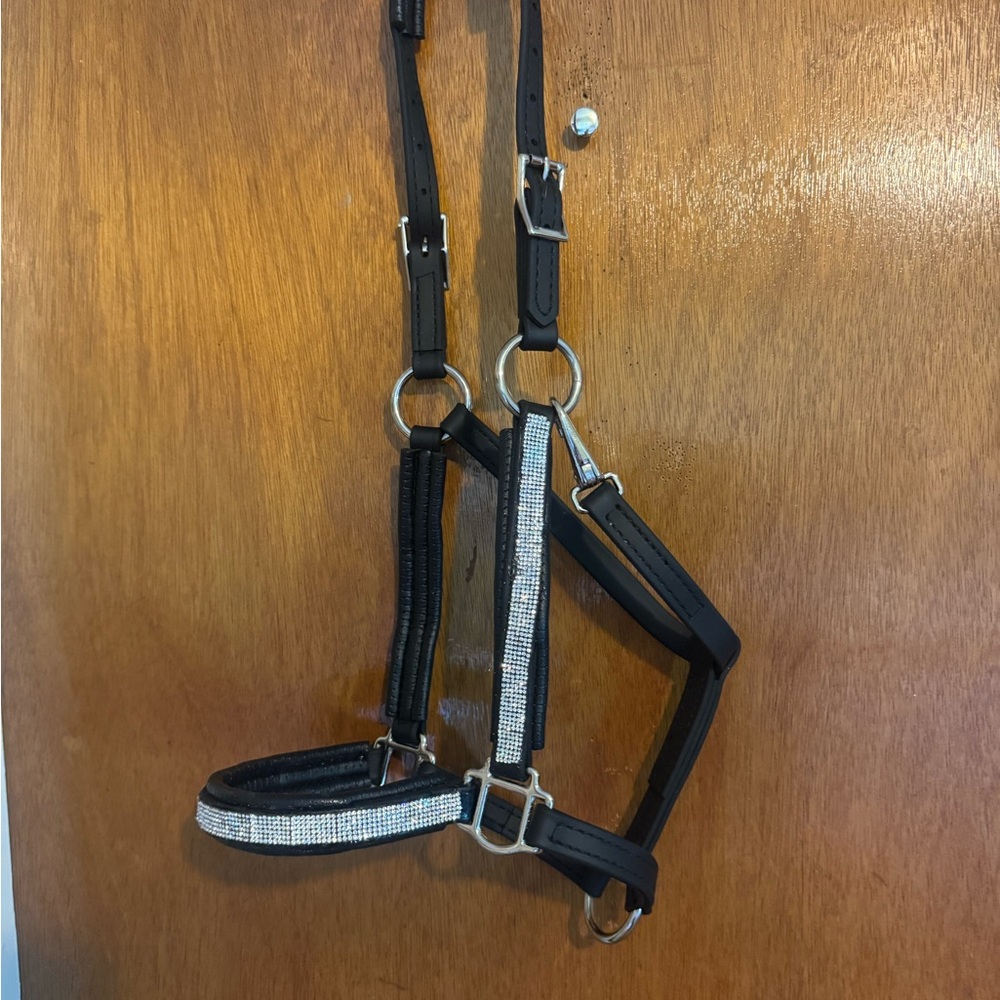 Elegant Black and Silver Horse Halter
